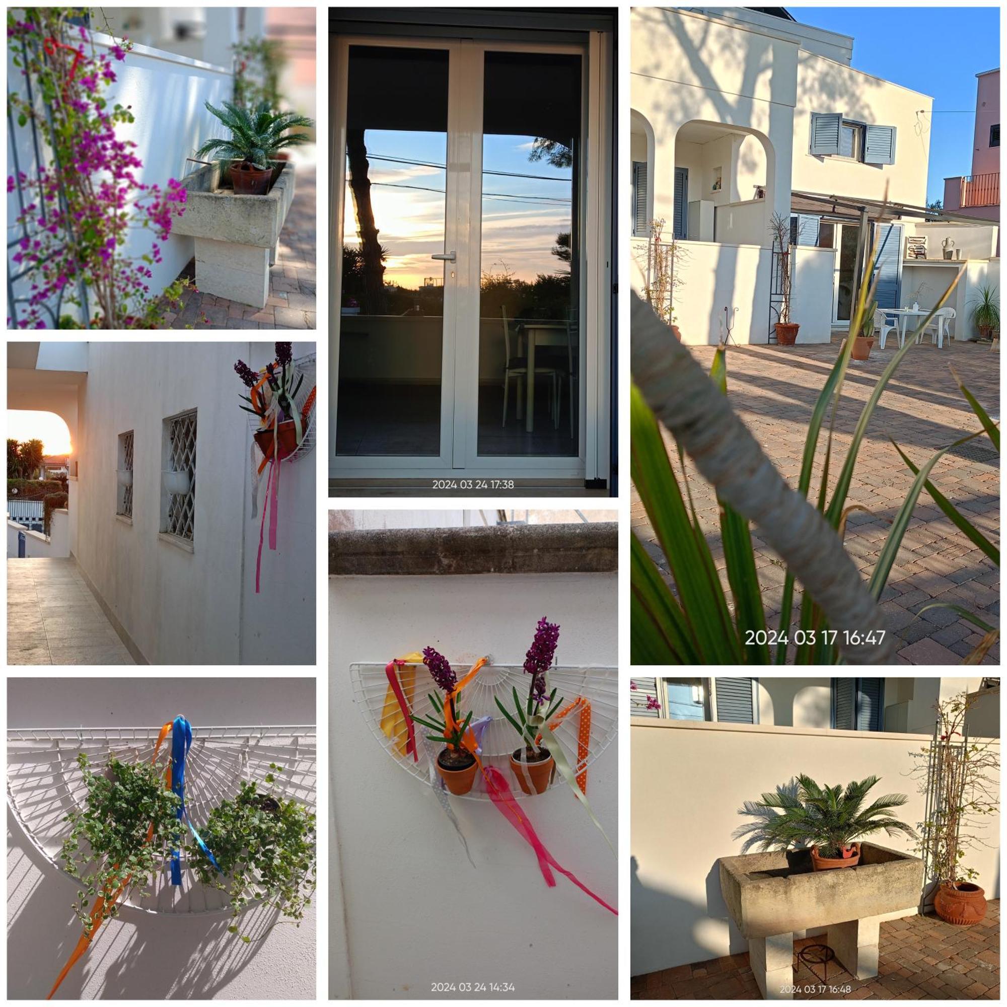 Dimora Carose Apartment Santa Maria al Bagno Ngoại thất bức ảnh